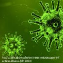 Studiu de caz GRIPA CU VIRUS GRIPAL A